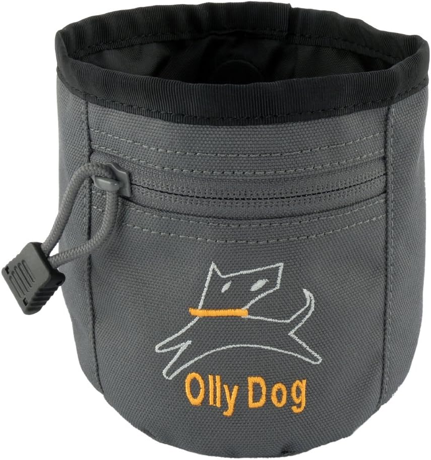 OllyDog Treat Bag Plus, Stone