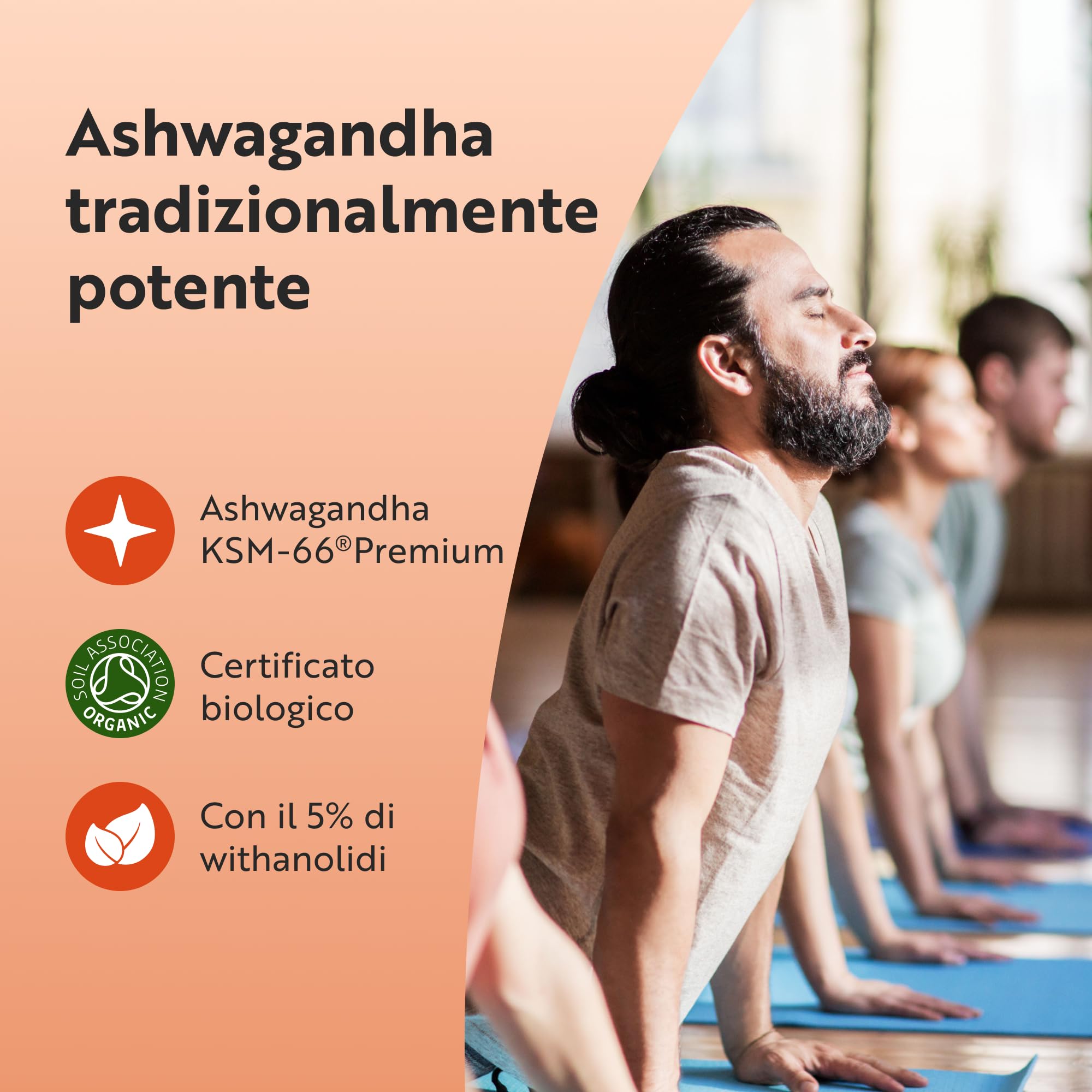 Nutravita Ashwagandha Bio 500mg - 60 Capsule Vegane - Integratore Ashwagandha KSM-66 Pura - Bio Certificata Ashwaganda - Withania Somnifera (Ginseng Indiano) - Capsule di Ashwaganda Polvere Estratta