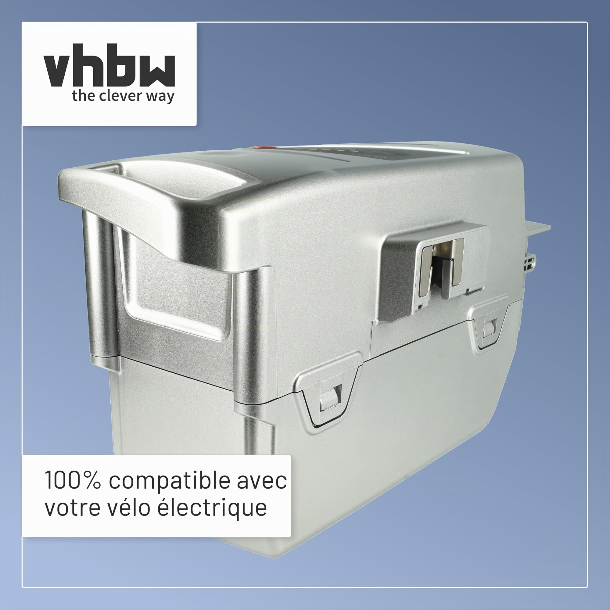 vhbw Batterie Compatible avec Flyer Cargo