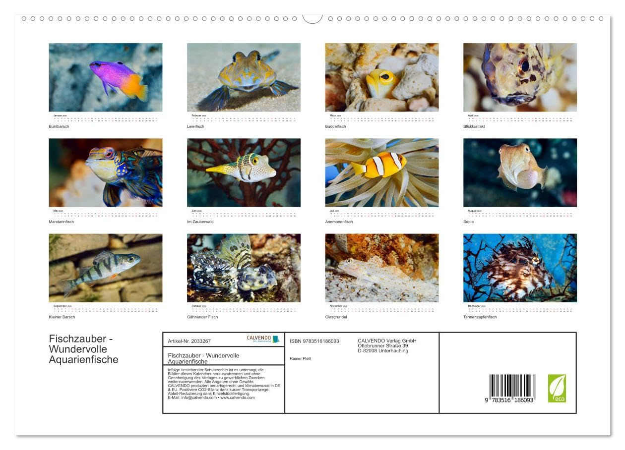 Fischzauber - Wundervolle Aquarienfische (hochwertiger Premium Wandkalender 2026 DIN A2 quer), Kunstdruck in Hochglanz: Kalender mit bezaubernden Aufnahmen von kleinen Fischen in Aquarien.