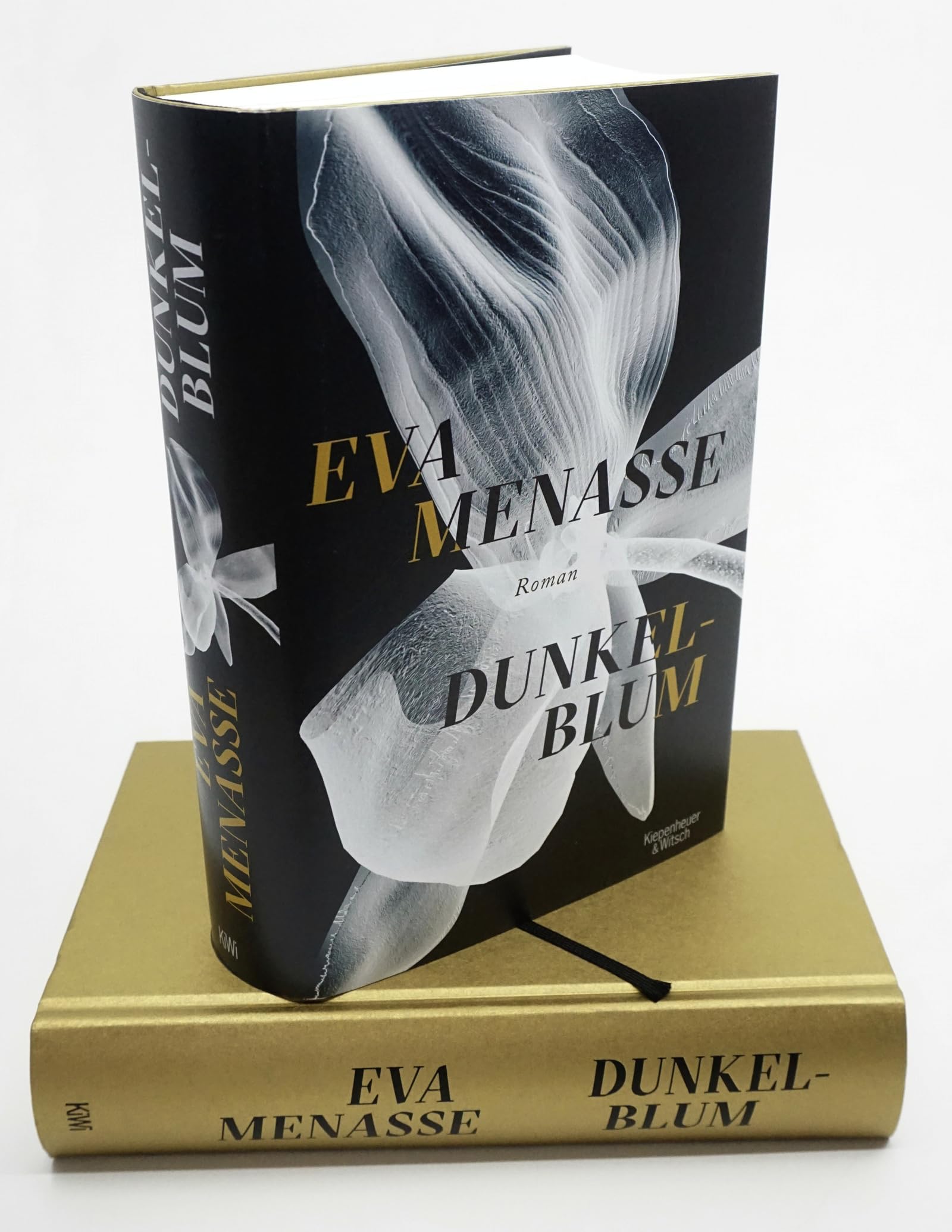 Dunkelblum: Roman