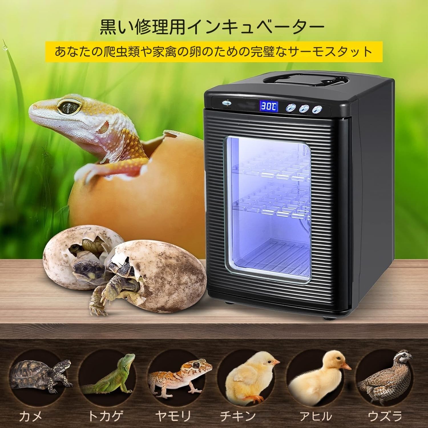 Amazon | 爬虫類インキュベーター 自動孵卵器 孵化器30-40枚入卵OK
