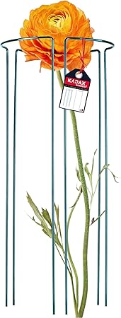 2 Stück Pflanzenhalter Grün - Rankhilfe Für Rosen, Stauden, 21x35cm