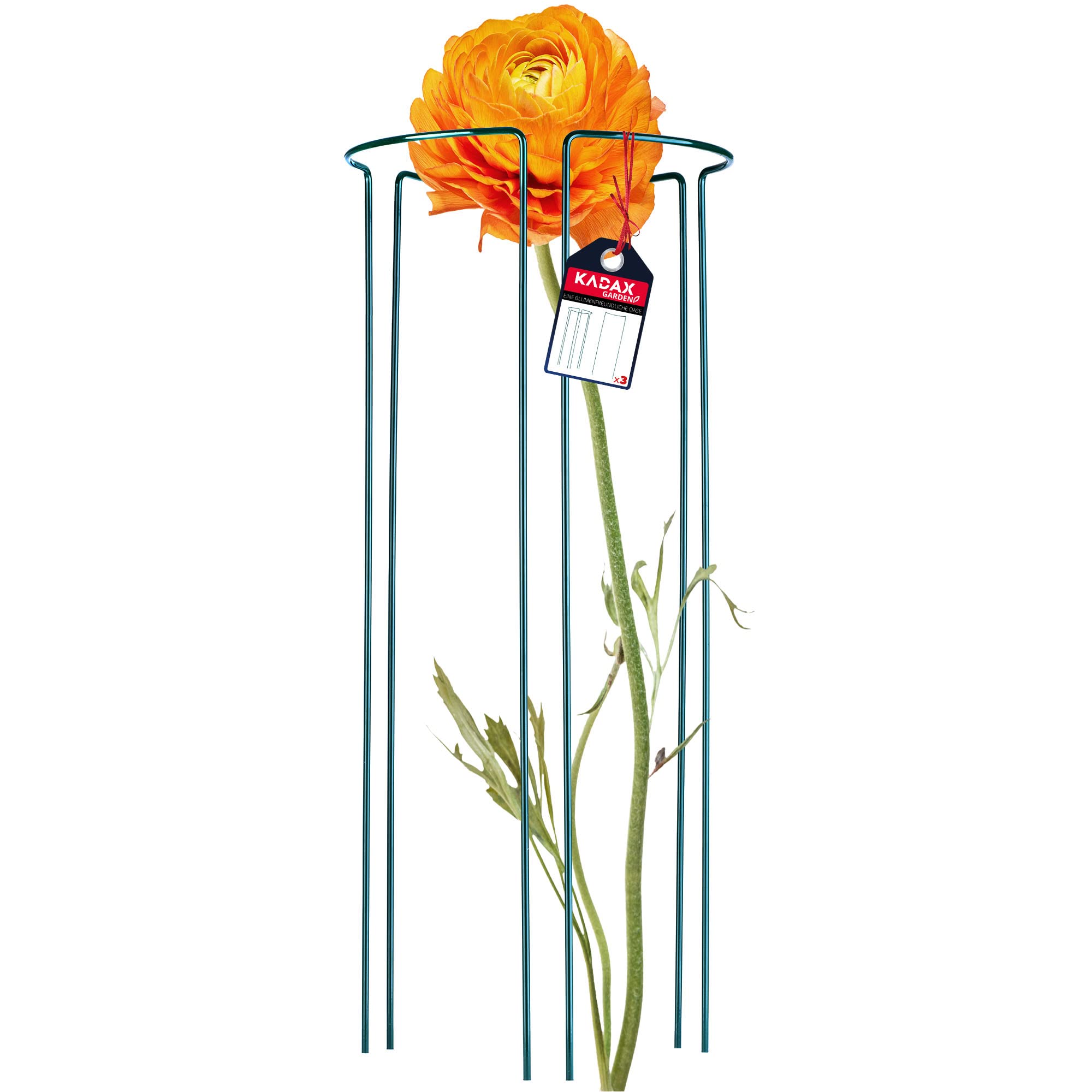 KADAX Plantenhouder 75 cm, stabiele plantenhouder, halfronde plantensteun van staal, solide struiksteun voor rozen, struiksteun, rankenplanten, bloemensteun, plantensteun