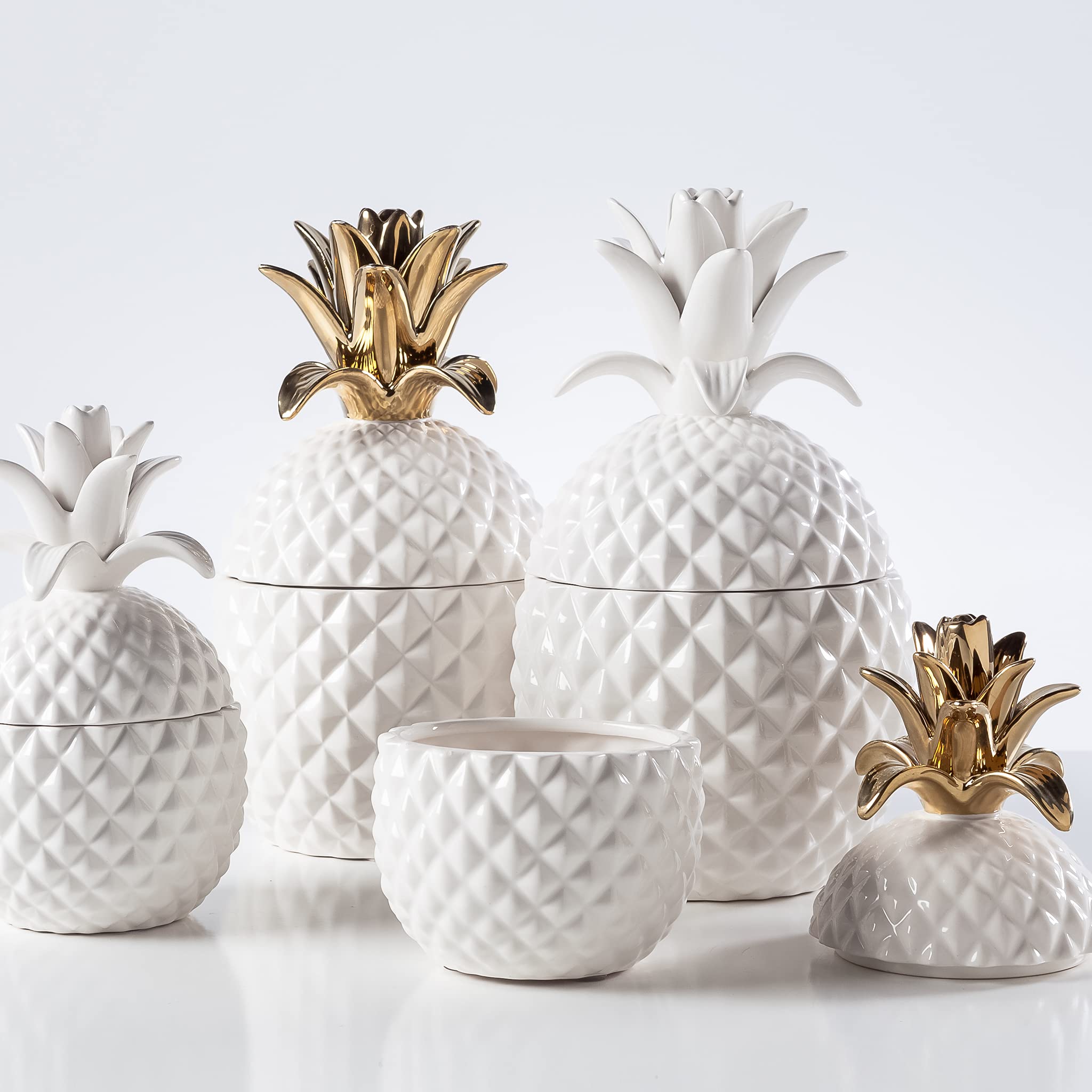 Amazon.com: Torre & Tagus Pineapple Ceramic Lidded Canister White
