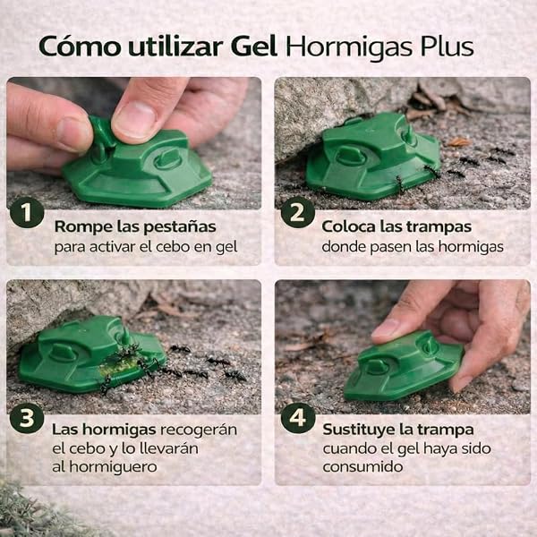 Remi Hogar Defens Gel Hormigas | Pack 4 Trampas Insecticida Hormigas | Cebo Insecticida Listo para Usar | Elimina Hormigas y el Hormiguero | Uso Interior y Exterior | Alta eficacia | Listo para Usar - 3