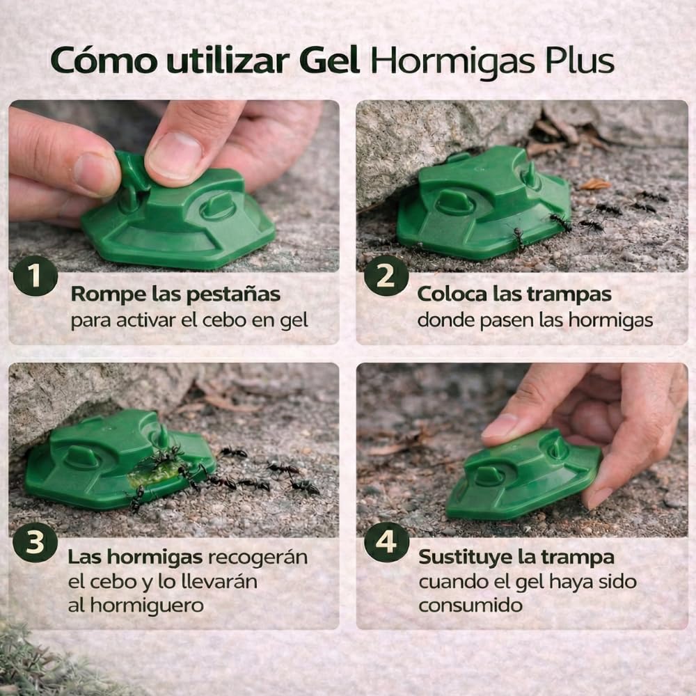 Remi Hogar Defens Gel Hormigas | Pack 4 Trampas Insecticida Hormigas | Cebo Insecticida Listo para Usar | Elimina Hormigas y el Hormiguero | Uso Interior y Exterior | Alta eficacia | Listo para Usar