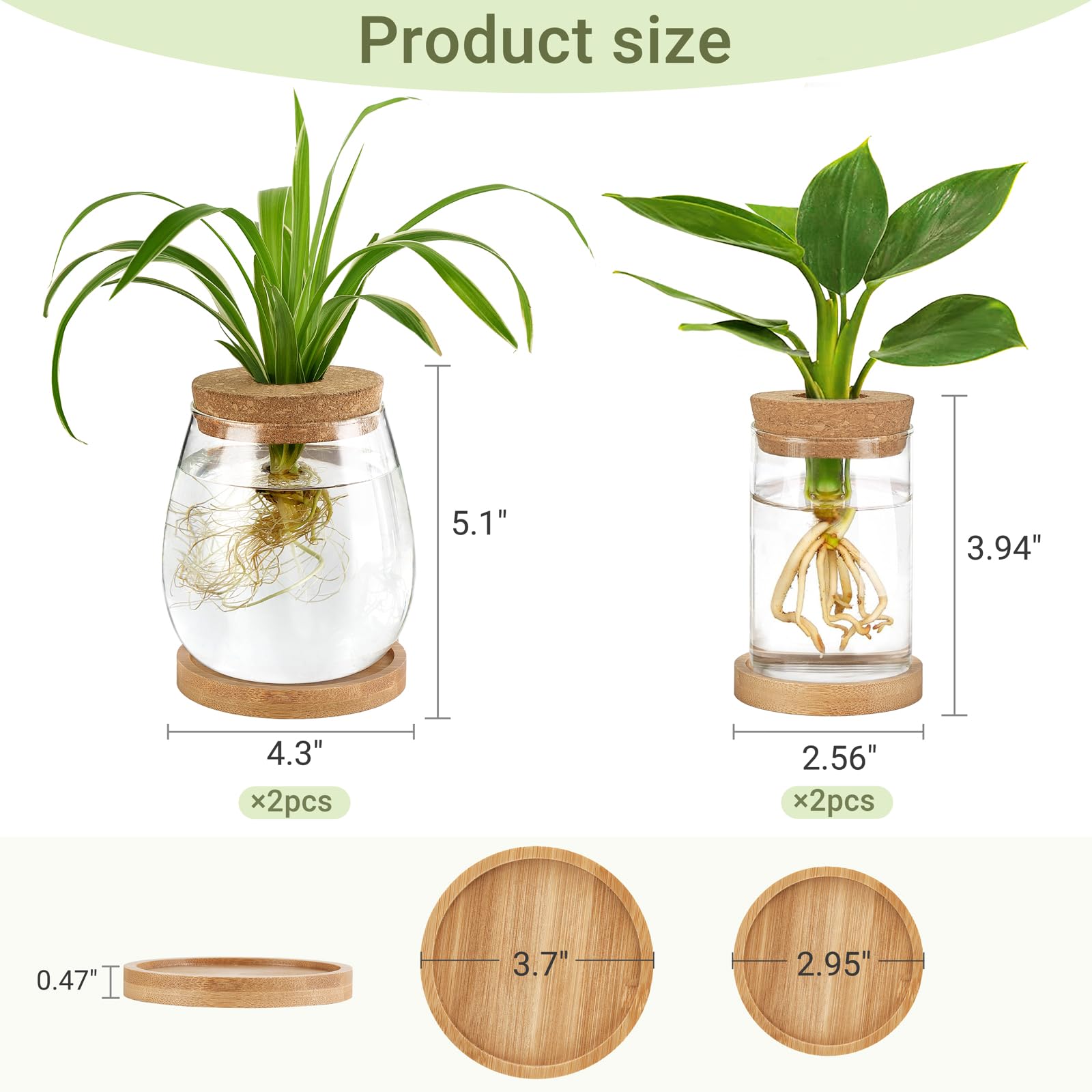 Estaciones De Propagación De Plantas Para Escritorio Y Terra Color Nombre Del Diseño | Meses Sin Interés