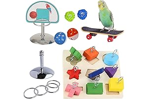 JSLZF: Comprehensive Avian Toy Collection for Parakeets, Parrots, and Songbirds