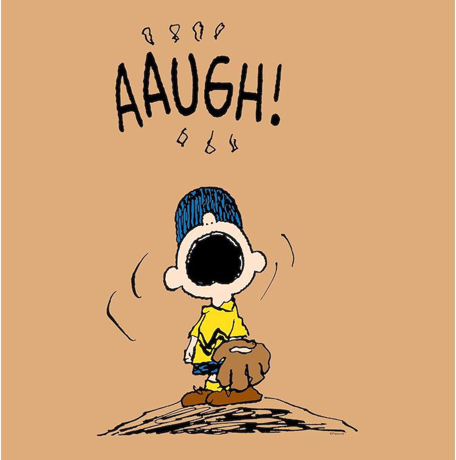 CafePress Charlie Brown Baseball Decorative Fabric Shower Curtain