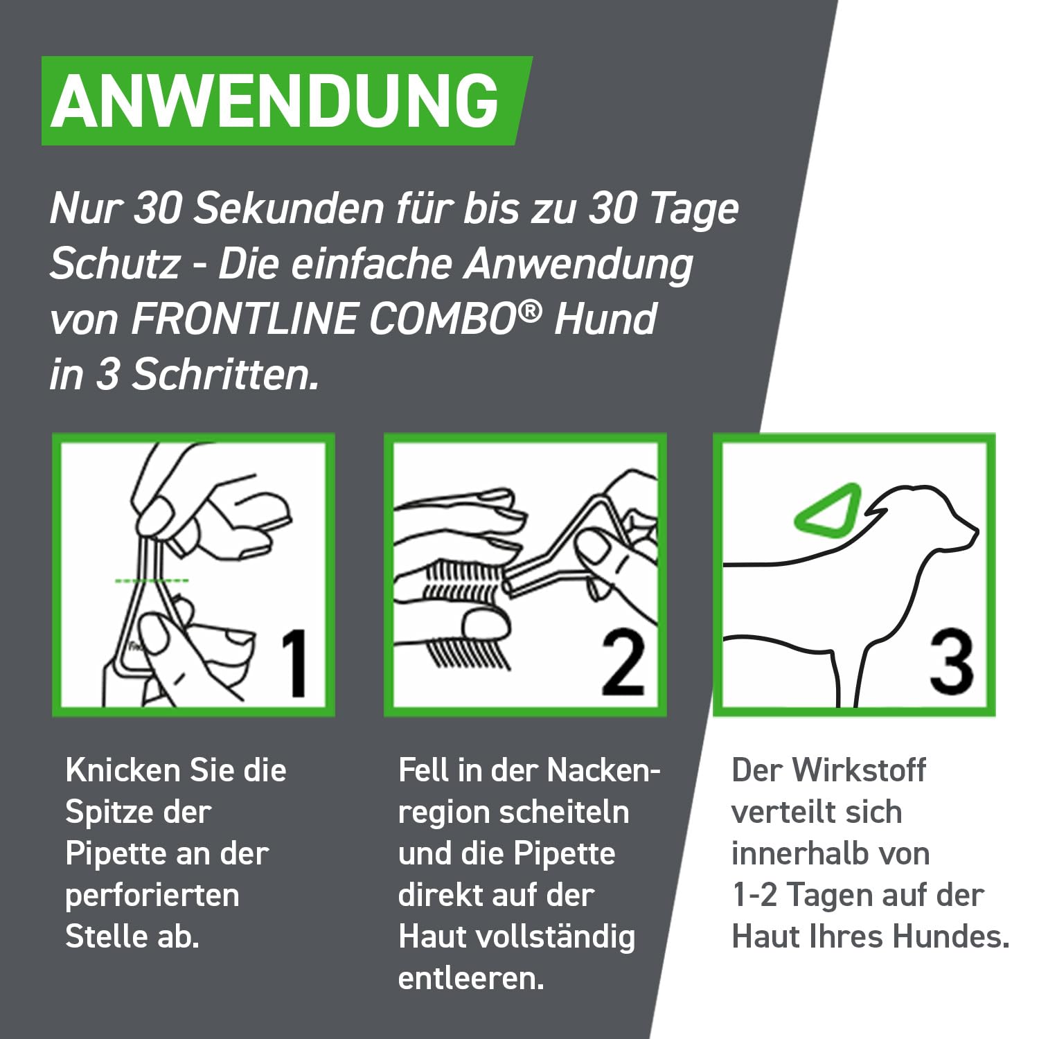 FRONTLINE Combo Hund M gegen Zecken, Flöhe & Haarlinge (10 bis 20 kg) | 3x Pipetten (3er Pack) für bis zu 9 Monate Schutz - gegen Floheier, Larven & Puppen im Haushalt - wasserfest