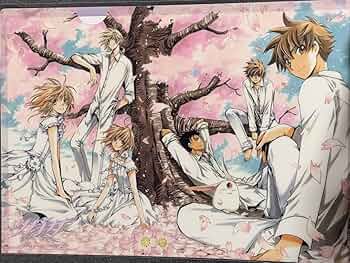 ツバサクロニクル メモリアルコレクション　コンプ CLAMPの名作「xxxHOLiC」「ツバサ・クロニクル」の思い出が蘇る
