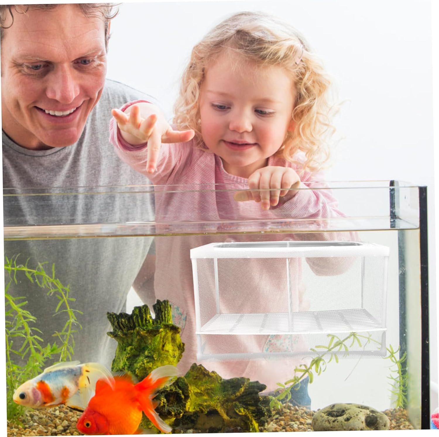 2pcs Betta Fish Tank Accessories Isolation Mesh Partition Breeding Box for Aquarium Fish Style