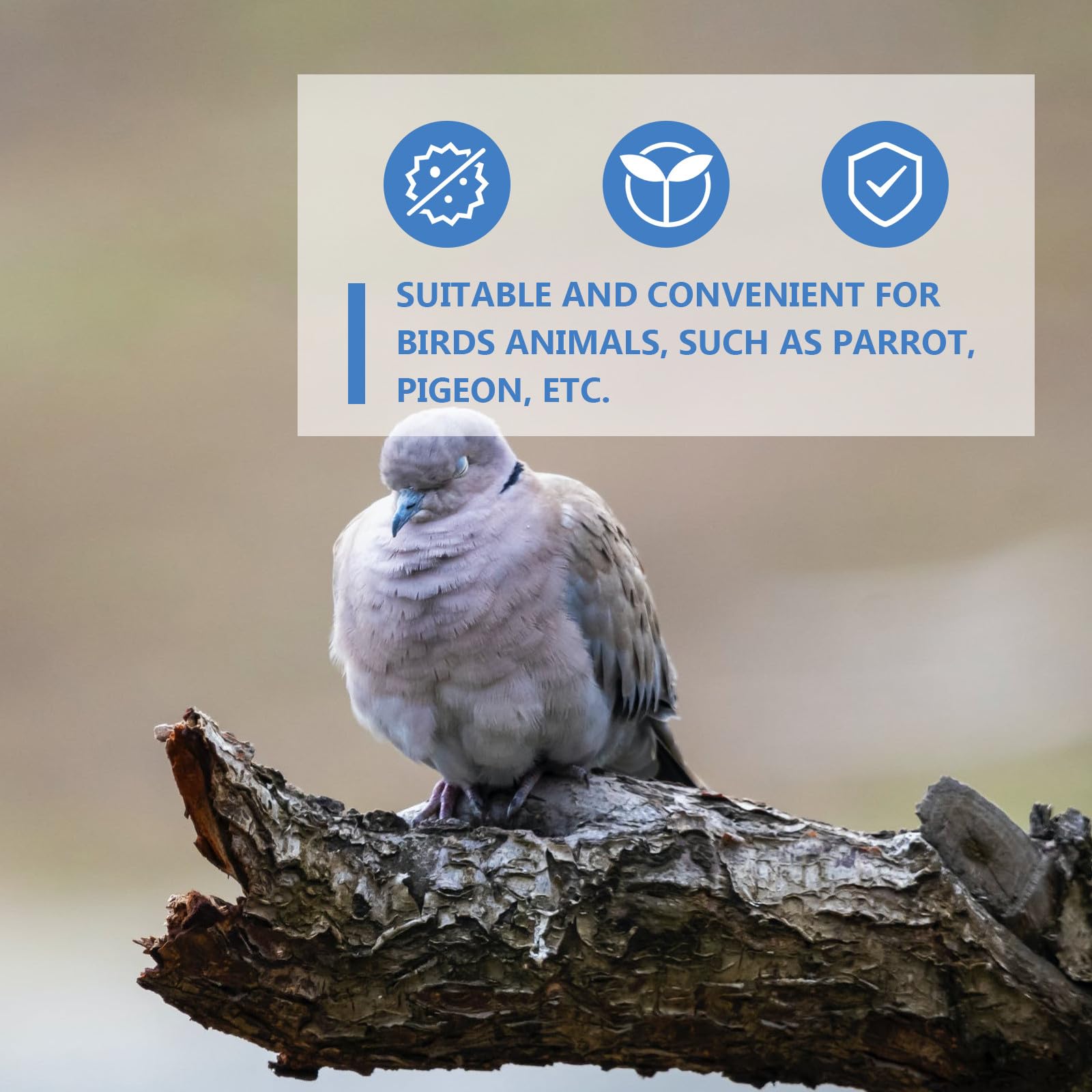 HOMSFOU Automatische Vogeltränke 6,5 L Weiß Blau Wasserspender für Tauben Papageien Vogelzubehör mit Langlebigem Material und Einfachem Reinigungssystem