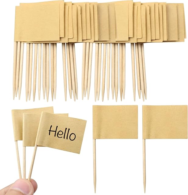 inodiref 100 Pcs Blank Toothpick Flags Mini Toothpick Food Flags Labels Toothpicks Cocktail Sticks Cupcake Toppers for Party Birthday Cake Food Cheeseplate Cheese Markers