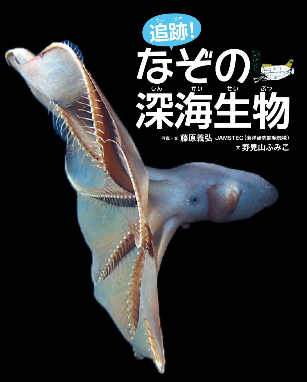 深海生物 71s6XZOzmbL.jpg