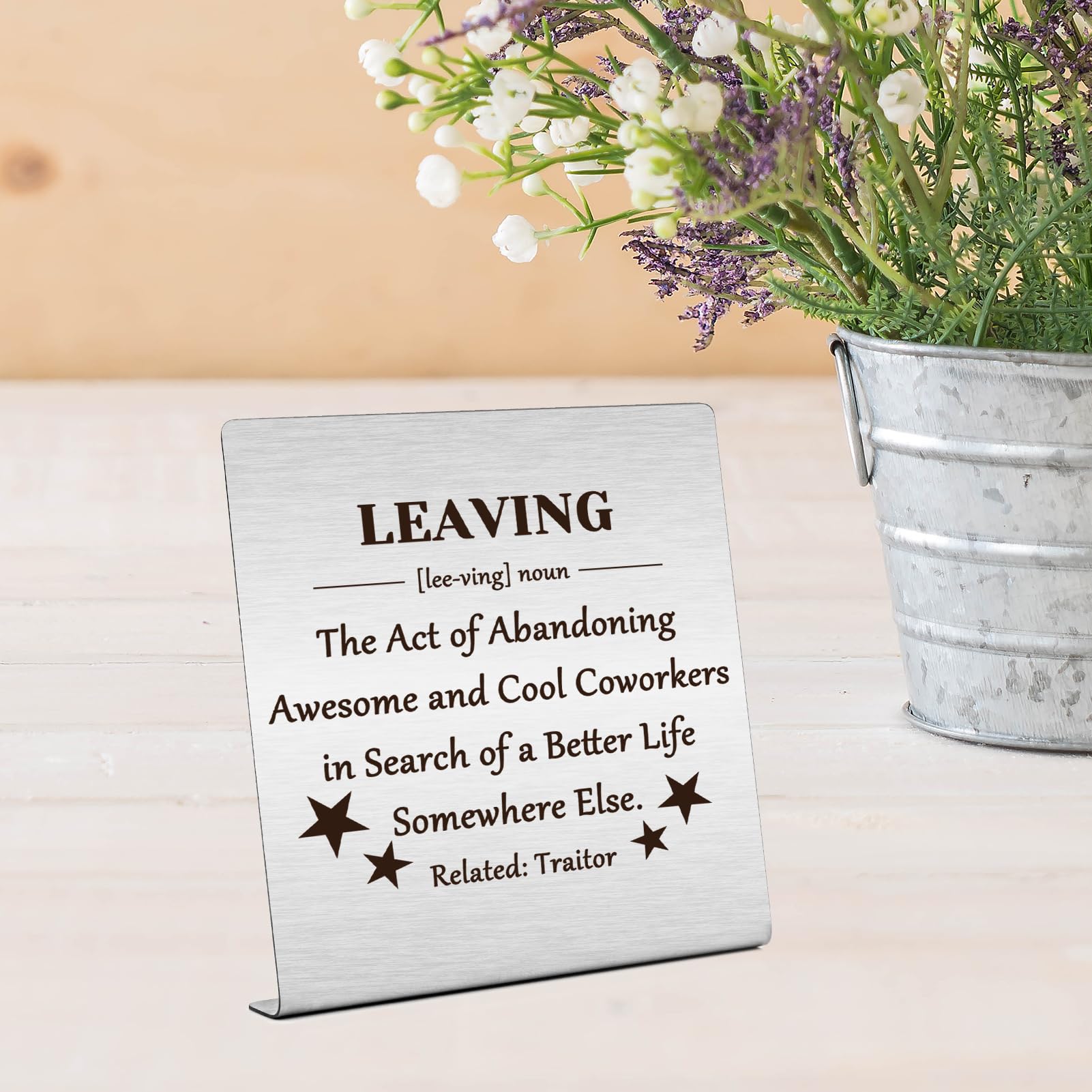 Coworker Leaving Gift for Women Men Friends Desk Sign Gifts for Colleagues Going Away Gifts New Job Gifts Plaque Sign Desk Decor from Coworkers Christmas Retirement Gifts Goodbye Gift - Image 4