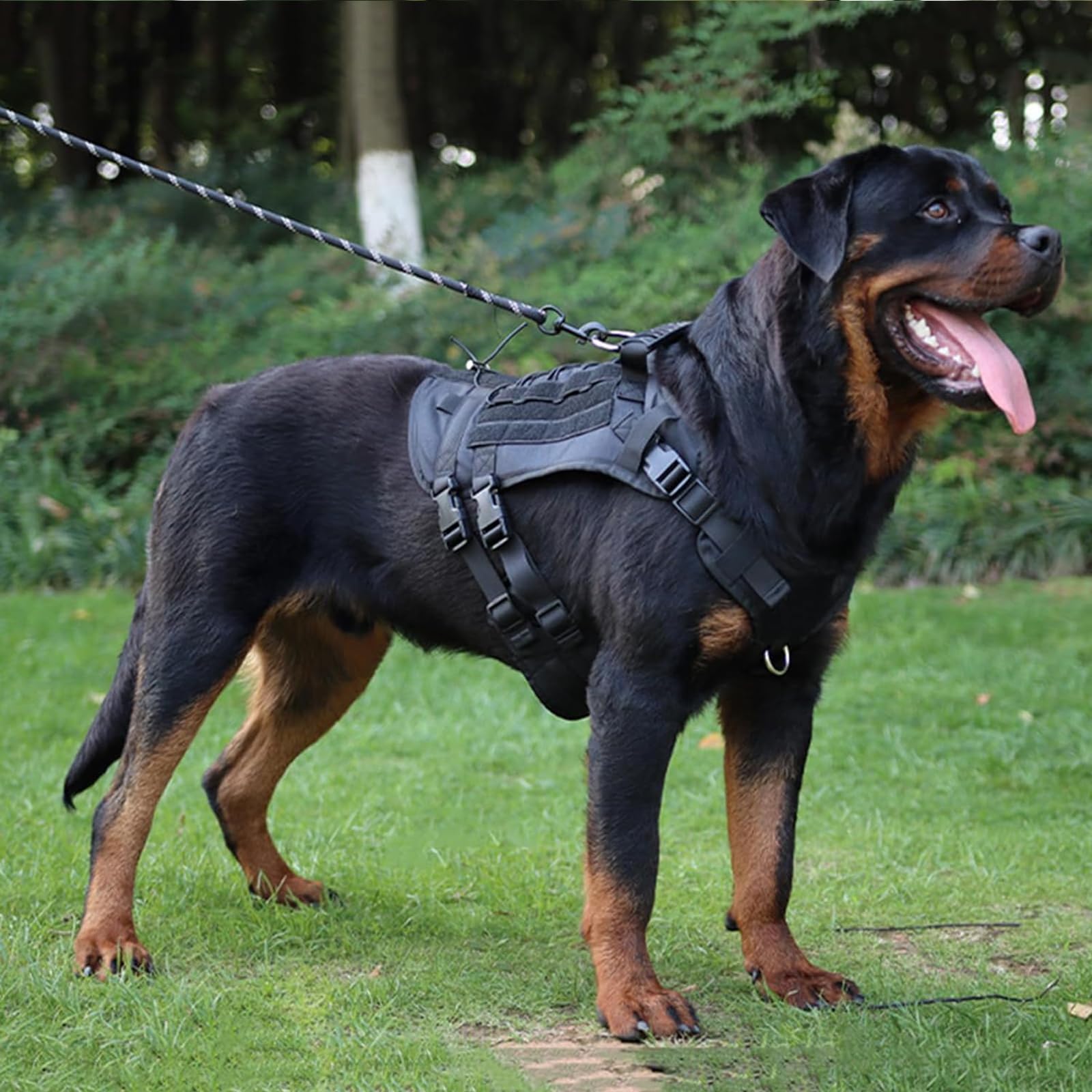 Arnes Táctico Perro Grandes Medianos Arnes Perro Antitirones Militar Chaleco De Entrenamiento Ajustable para Perros con Sistema Molle para Entrenamiento Correr Caminar Cazar,Gris,Small