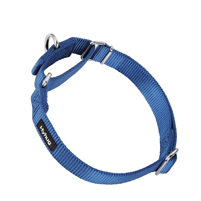 Premium actualizado Cuello de Perro Martingale antivaho de Nylon Resistente para Perros Grandes, pequeños
