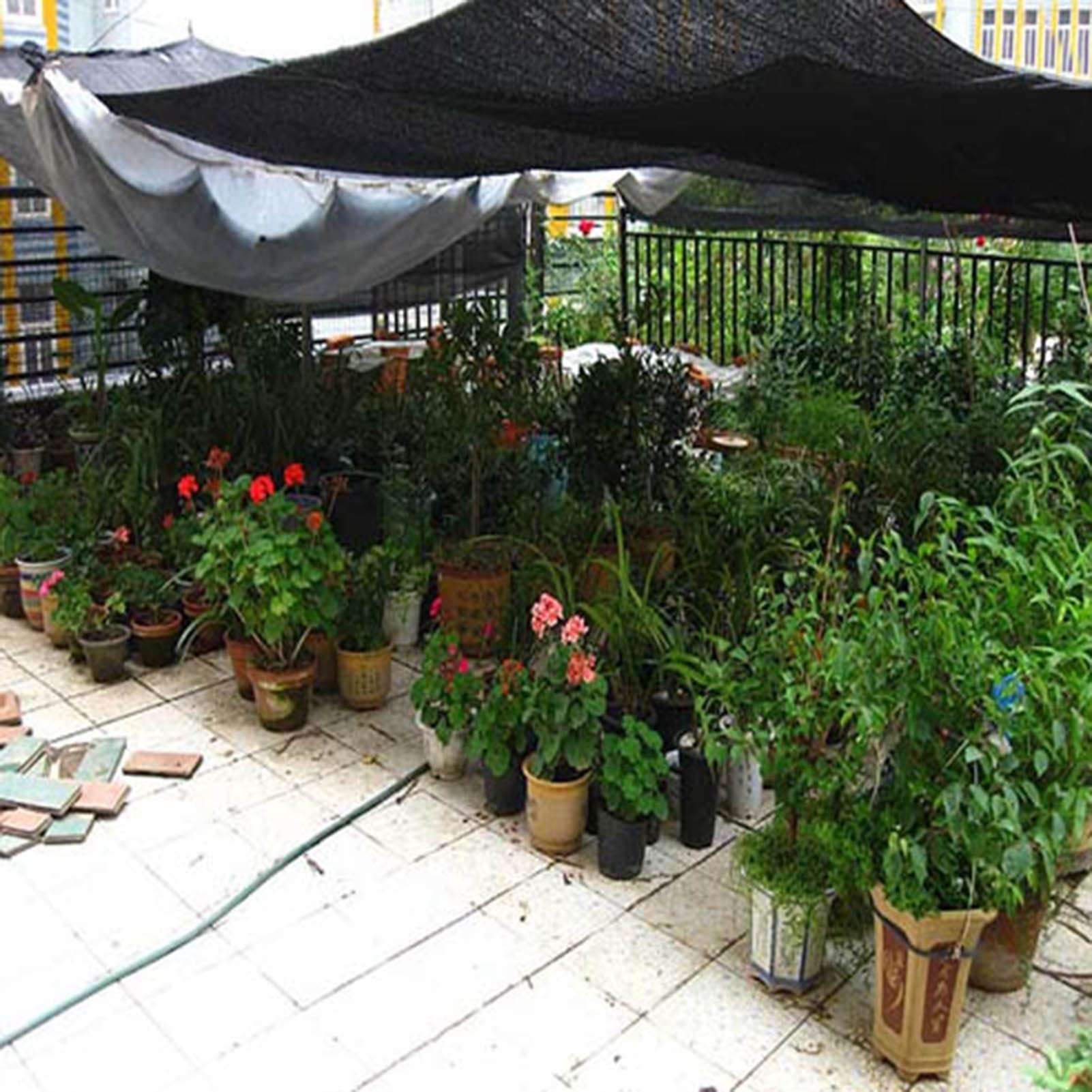 Zewnętrzny żagiel przeciwsłoneczny, odporny na promieniowanie UV, 80–85% zadaszenie ogrodowe z przelotkami, do patio, balkonu, pergoli, 9 x 12 m, idealny do relaksu na podwórku