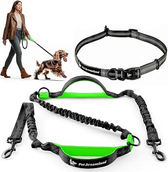 Exquisite Hands-Free Leash for Medium Dogs Ultimate Comfort & Freedom for Running, Walking, Hiking. Premium Quality, Durable & Versatile Waist Dog Leash Belt. Your Dog Will Love It
