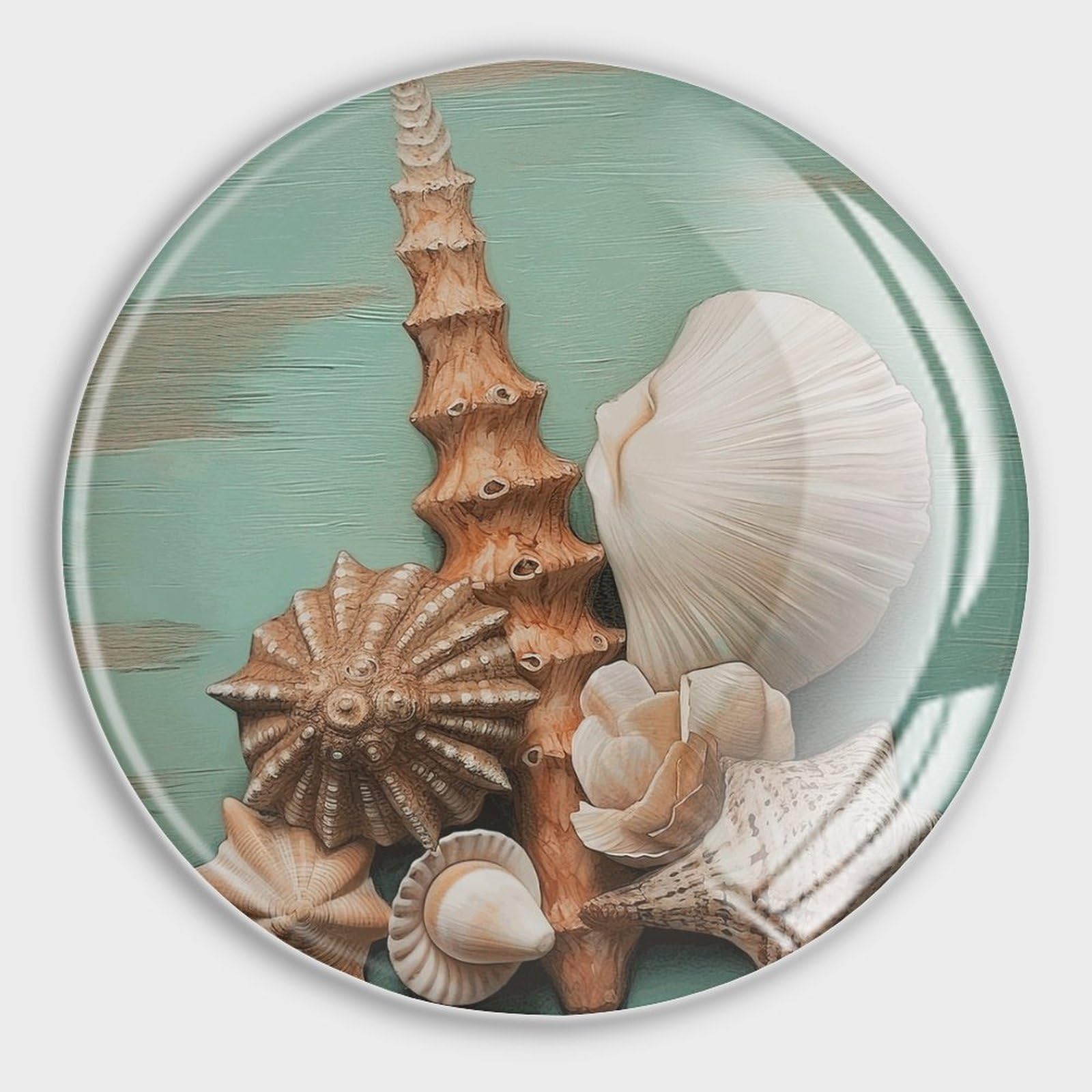 Aimants de réfrigérateur Conch lot de 4 pour une déco de cuisine rétro chic