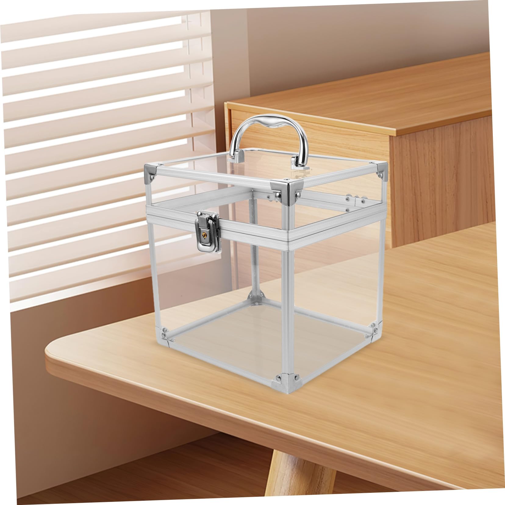 Homoyoyo Custodia Acrilica per Organizzatore di Dischi in Vinile e CD con Manico, Grande Capacità e Design Elegante per Casa e Studio, Facile Identificazione e Trasporto