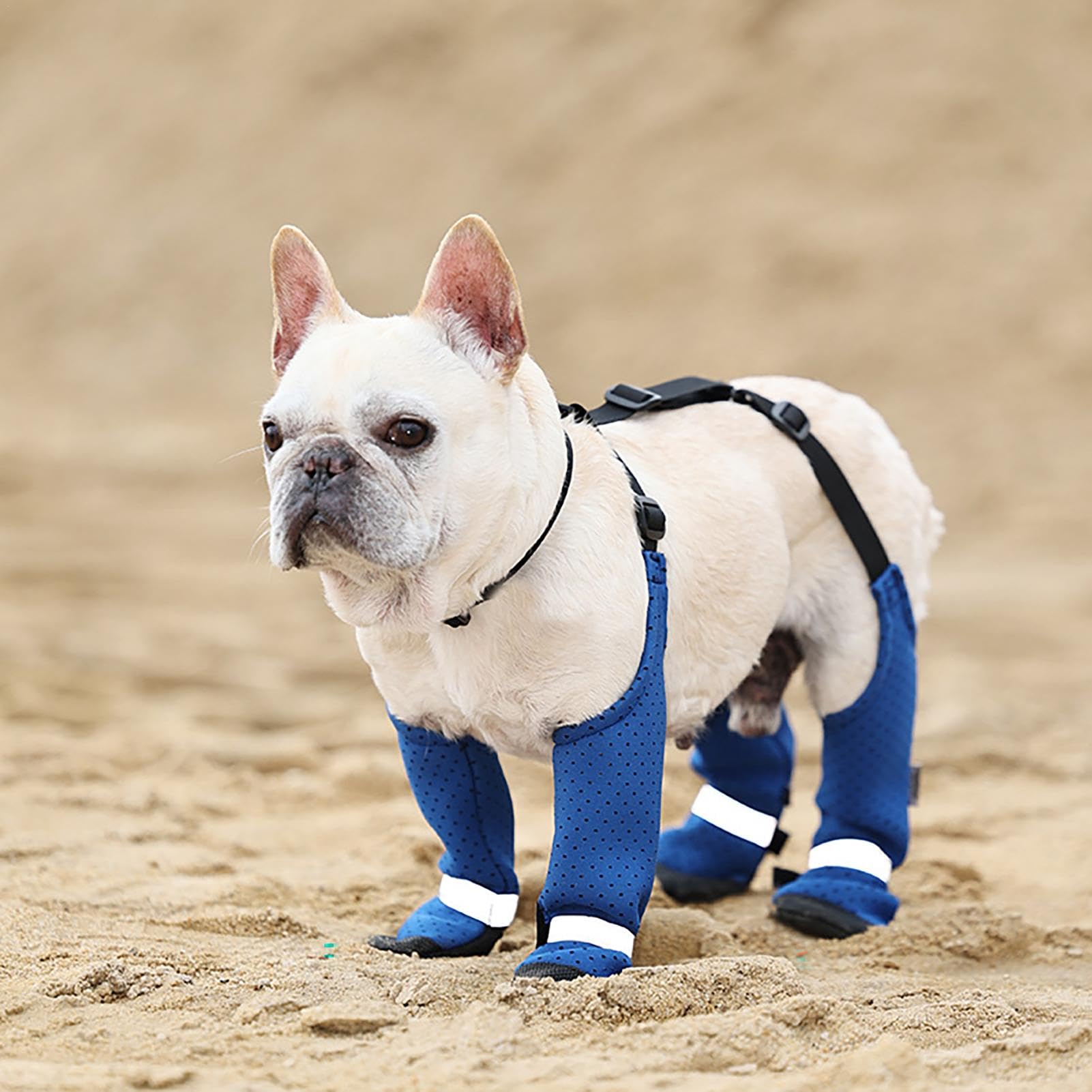Schuhe Für Hunde Undurchlässg Hundelene Große Regenstefel | EBay