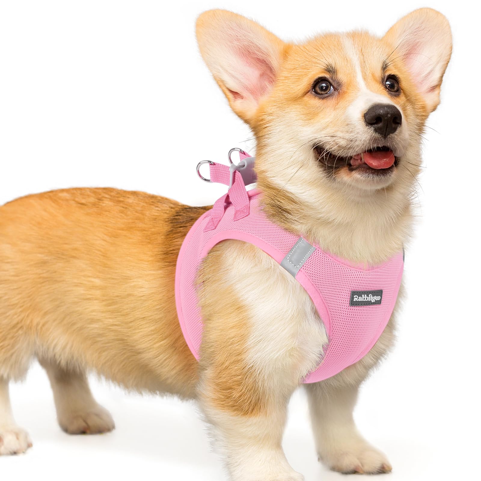 rabbitgoo Hundegeschirr kleine Hunde, Step-in Soft Mesh Hundegeschirr mit Sicherheitsverschluss, atmungsaktives und reflektierendes Welpengeschirr für kleine Hunde