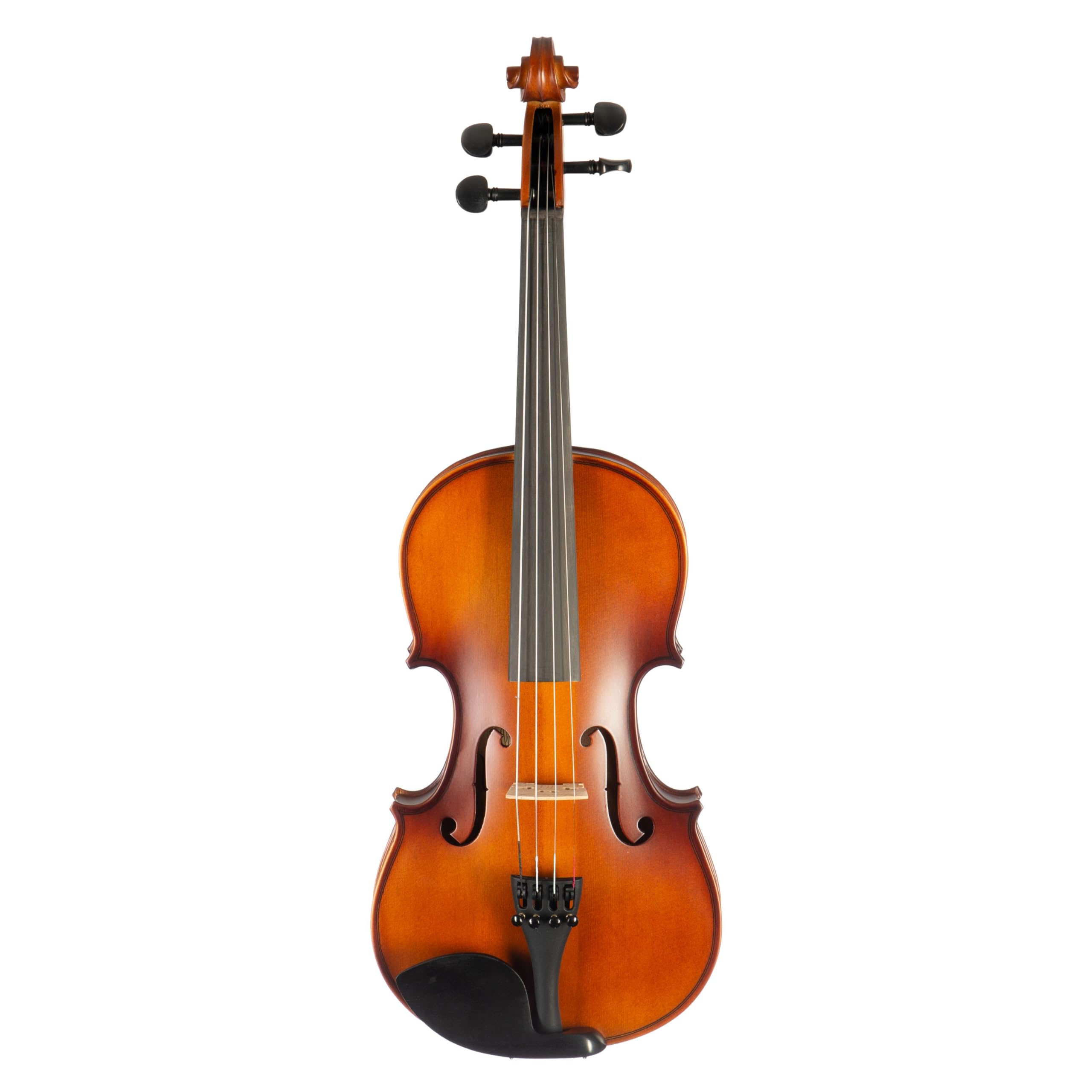 FAME Violine FVN-110 Violine 4/4