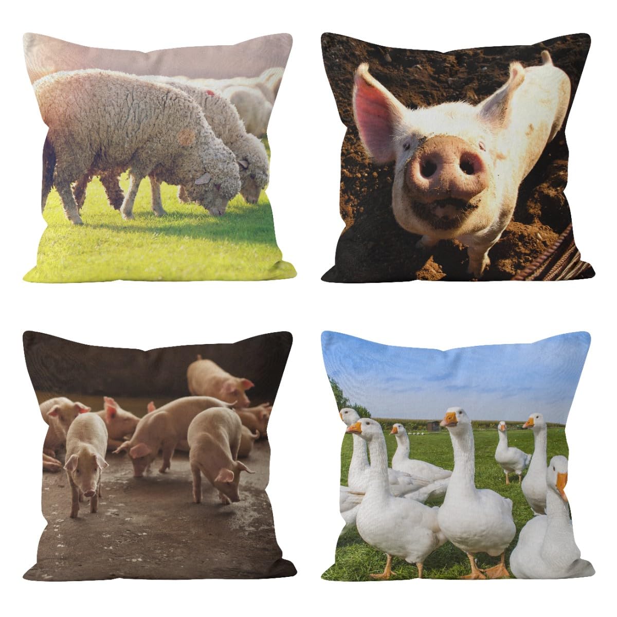 Taie d'oreiller satin de coton et housse de coussin en lin CEVAN lot de 4