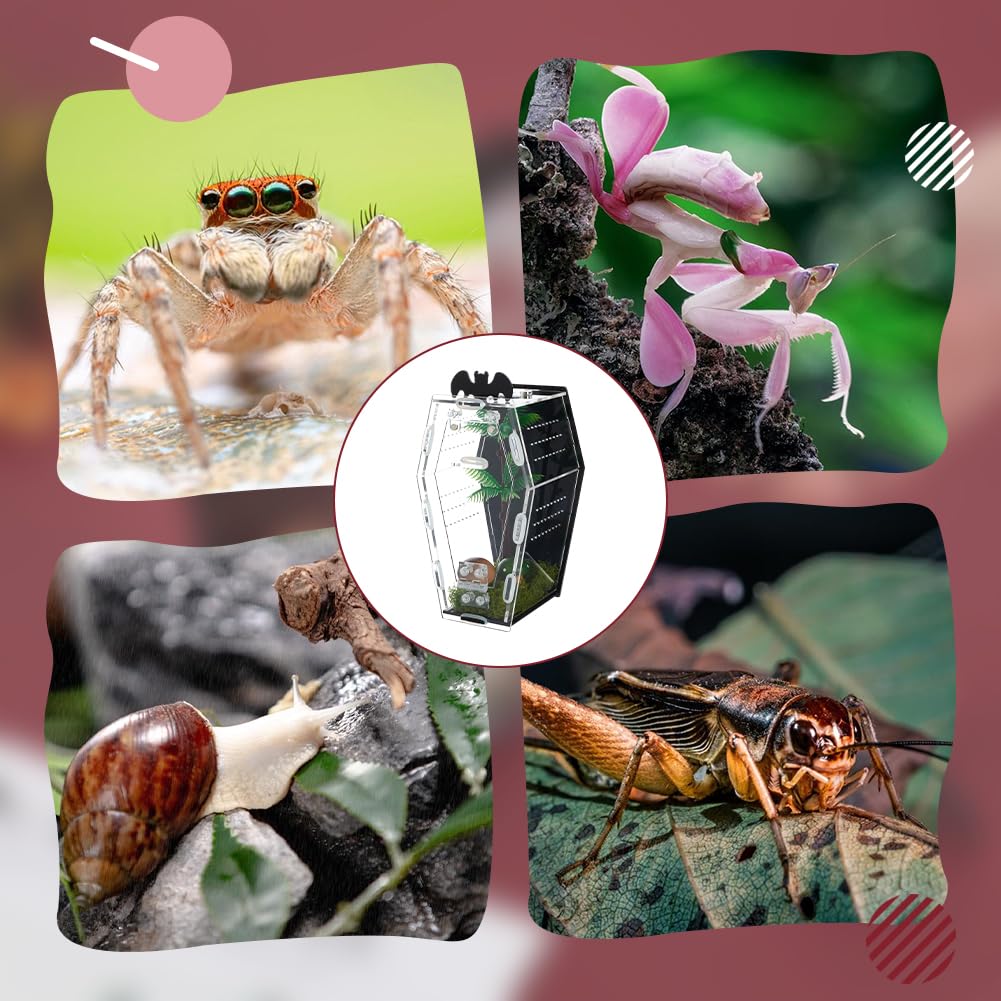 AHANDMAKER Springspinne Gehäuse, Gotischer Sargförmiger Insekten Terrarium mit Fütterung Löchern Klar Acryl Reptil Lebensraum für Tarantula Mantis Käfer