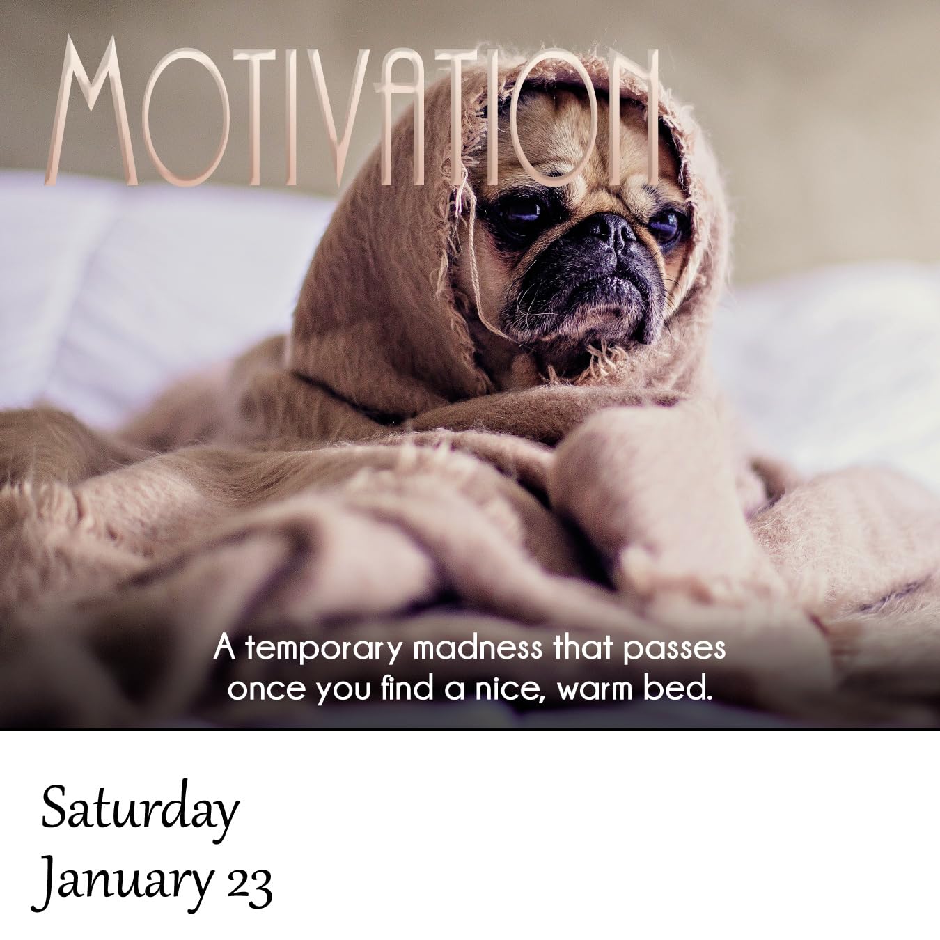 Demotivational 2027 Daily Calendar (A Funny, Uninspirational, and Humorous Page-A-Day / Day-to-Day Desk Calendar - all 365 days!)