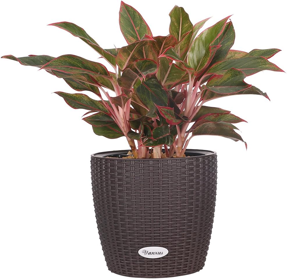 Planter pot Large Flower Planters pot - Self -Watering Planter Modern Decorative Flower Planter Resin Garden Planter Pot(Brown)