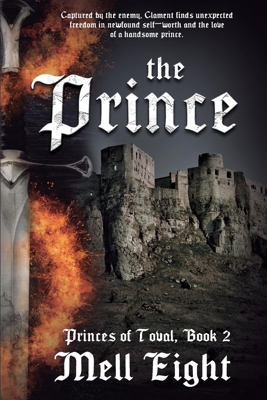 The Prince (Princes of Toval)
