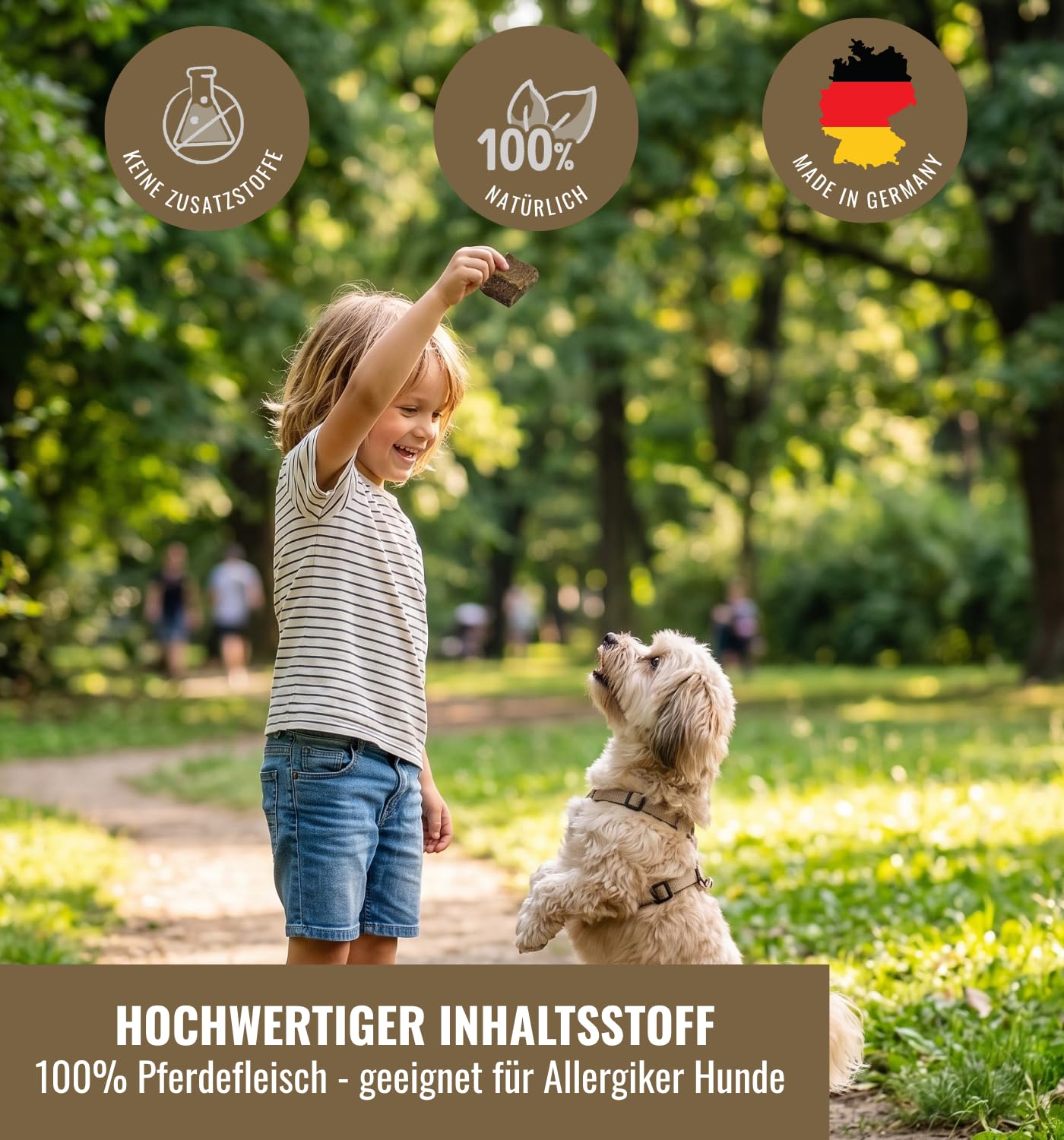 RiNa 100% Pferdefleisch gefriergetrocknet Hundesnack, Barf Topper 6x90 g