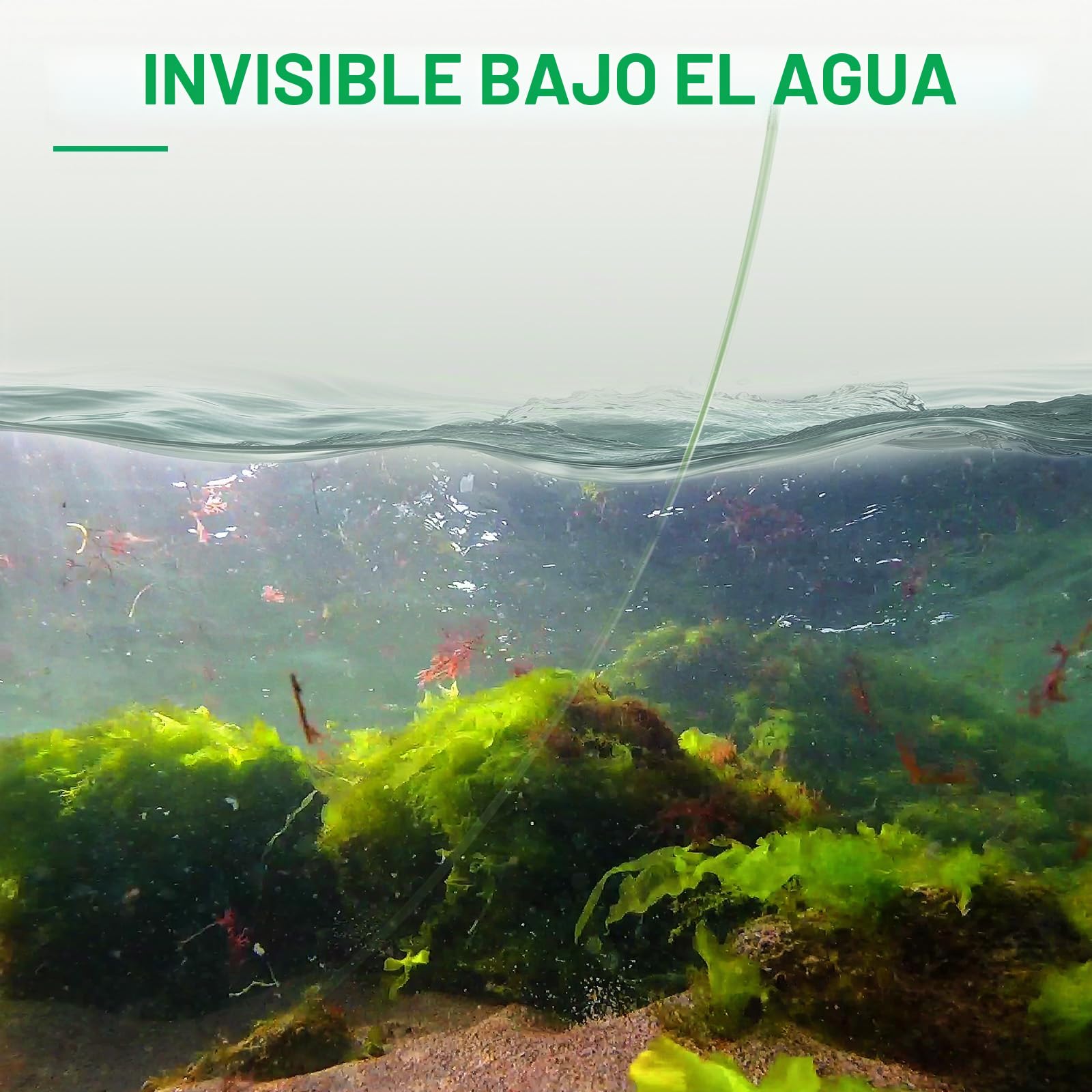 Seaknight Línea de Pesca de Carpa 500m monofilamento de Nailon superfuerte, Hilo de Pesca de Agua Dulce, Agua Salada, mar, Alambre de Pesca de 10-25LB