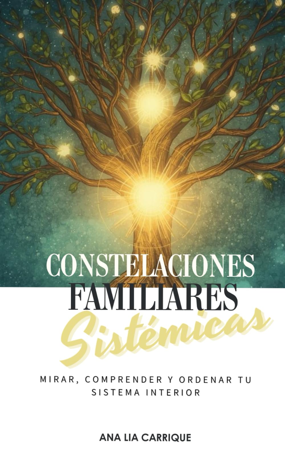 CONSTELACIONES FAMILIARES SISTÉMICAS: Mirar, comprender y ordenar tu sistema interior