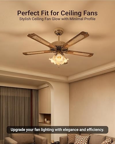 Miniatura 7 de Sunco - Paquete de 6 bombillas LED A15, estilo Edison, iluminación de filamento vintage regulable, 800 LM, 7 W (equivalente a 60 W), blanco suave de