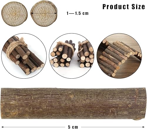 Miniatura 2 de FSWCCK 100 palos de manualidades, palitos de ramitas de abedul natural de 2 pulgadas, mini troncos de madera para manualidades, decoración de centro