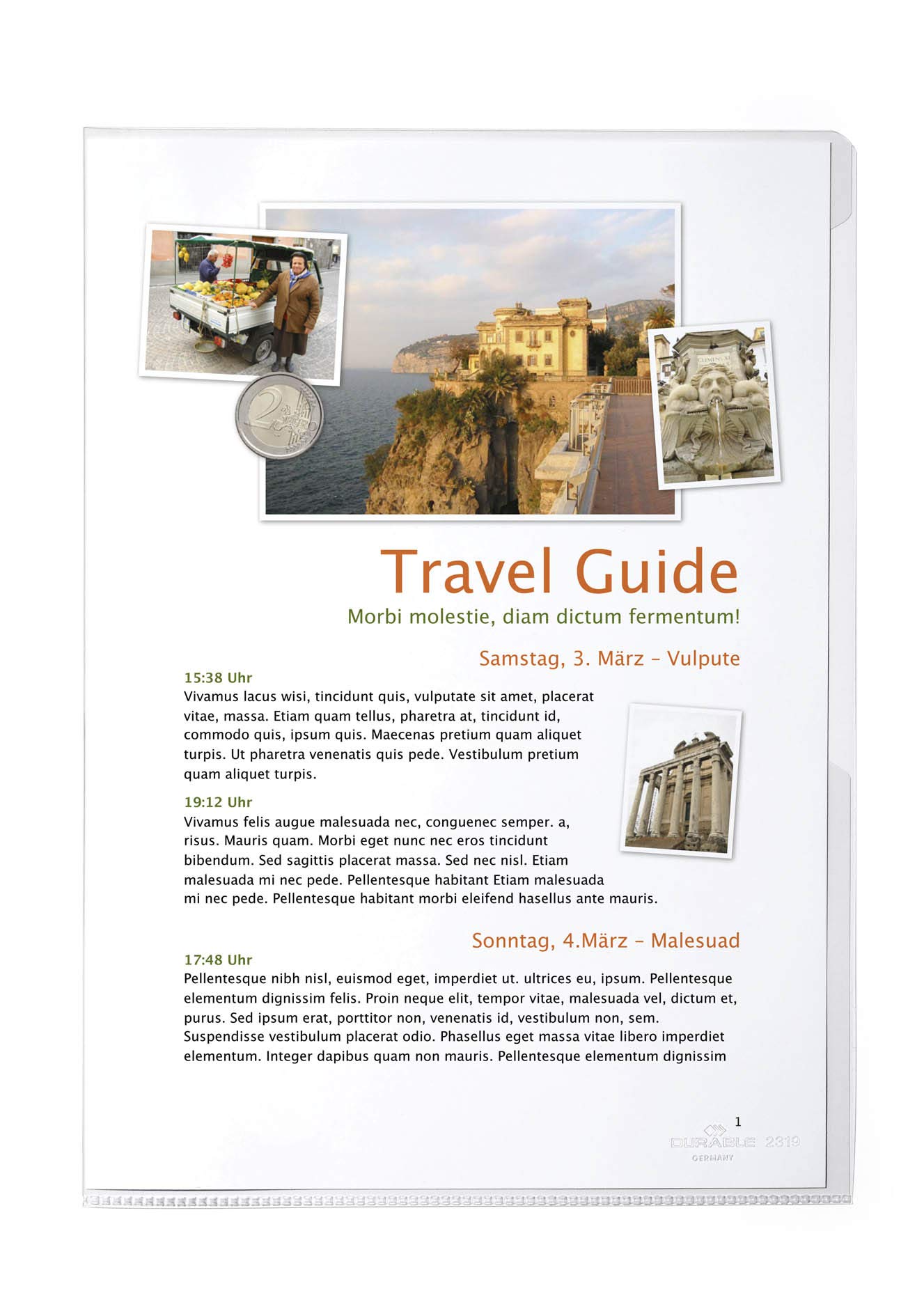 Durable 231319 Transparent Cover A4, Bag of 10 Pieces, Crystal Clear