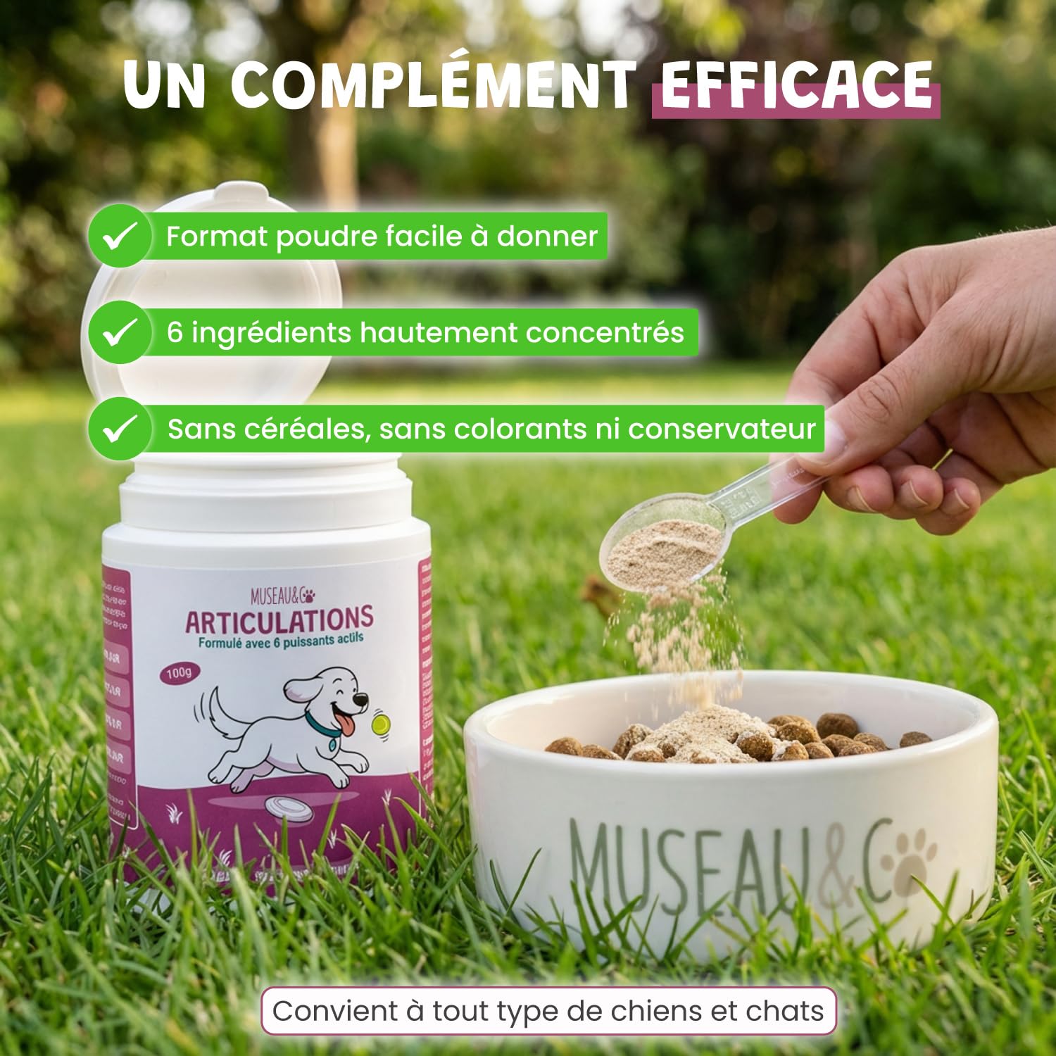 Articulations Chien Chat - Complément Alimentaire Anti-Arthrose - Harpagophytum Glucosamine Chondroïtine MSM Krill - Mobilité & Souplesse - Formulé par des Vétérinaires - Fabriqué en France