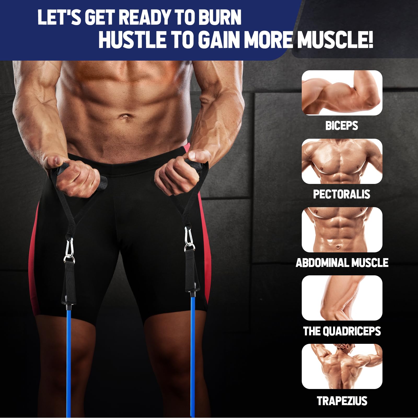 Fokky Elastici Fitness, Elastico Fitness 5 Livelli di Bande Elastiche Palestra Con Ancoraggio,Maniglie,Cinturino Alla Caviglia,Ideale per Yoga,Pilates,Costruzione Muscolare