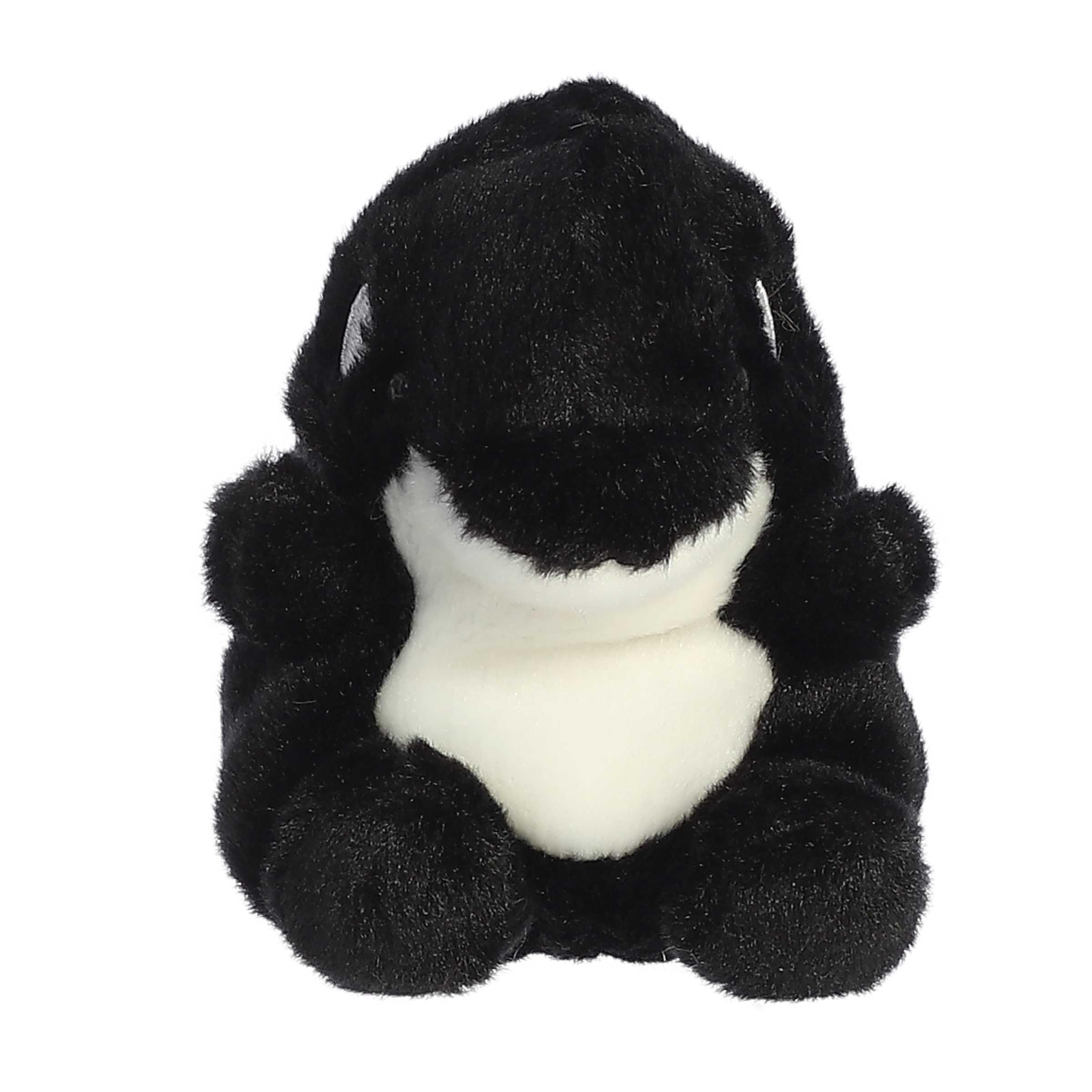 Amazon.com: Aurora® Adorable Palm Pals™ Juneau Orca™ Stuffed