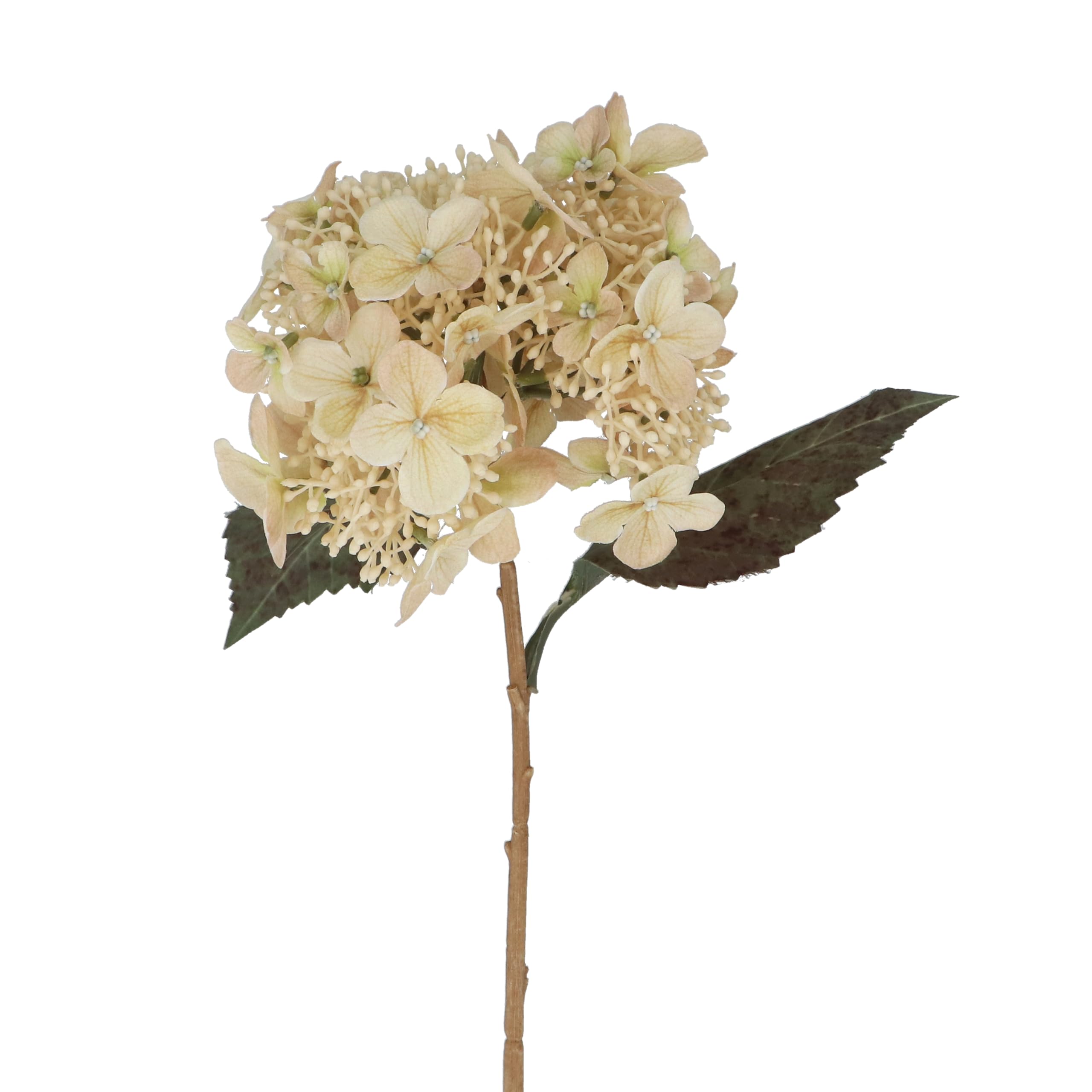 Gisela Graham Cream Artificial Lace Cap Hydrangea Stem, Polyester, 52Cm