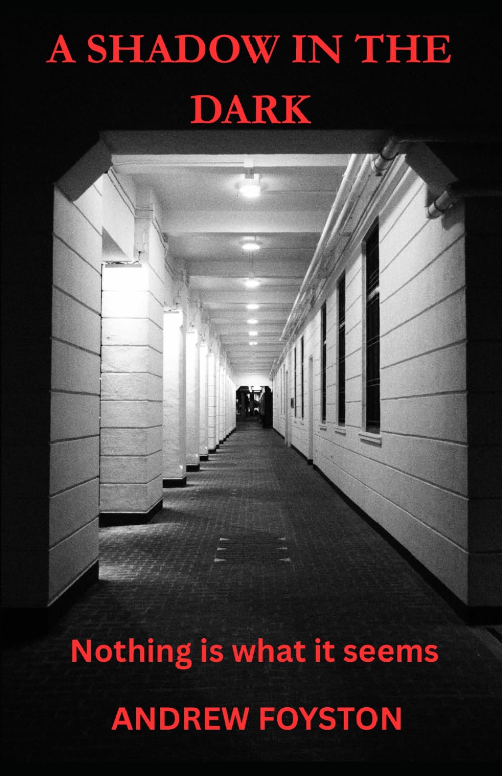 A Shadow in the Dark: Nothing is what it seems