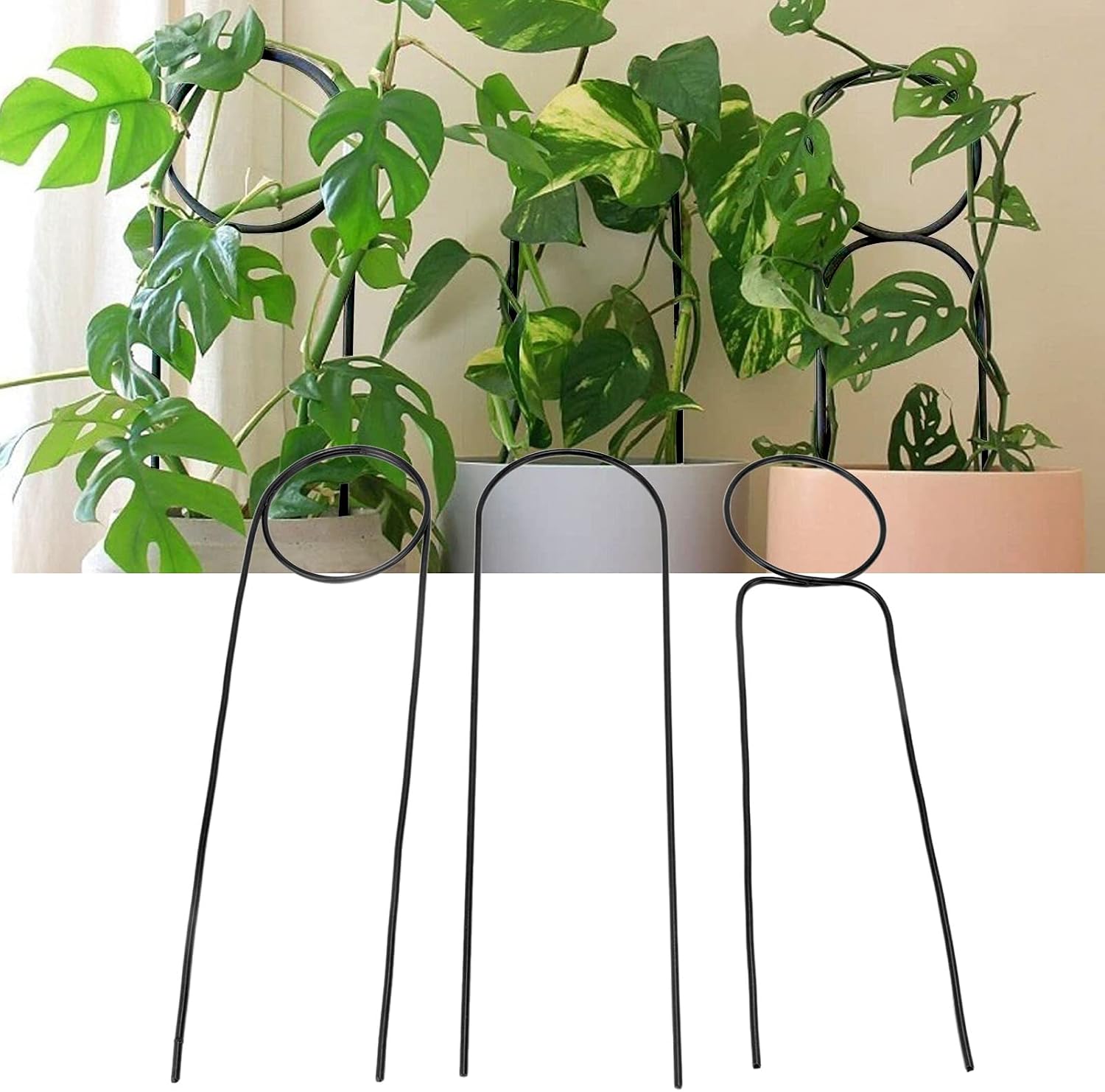 Set di 6 piccoli tralicci per piante in vaso, 25 x 15,2 cm, tralicci da interno impilabili per piante rampicanti | Leroy Merlin