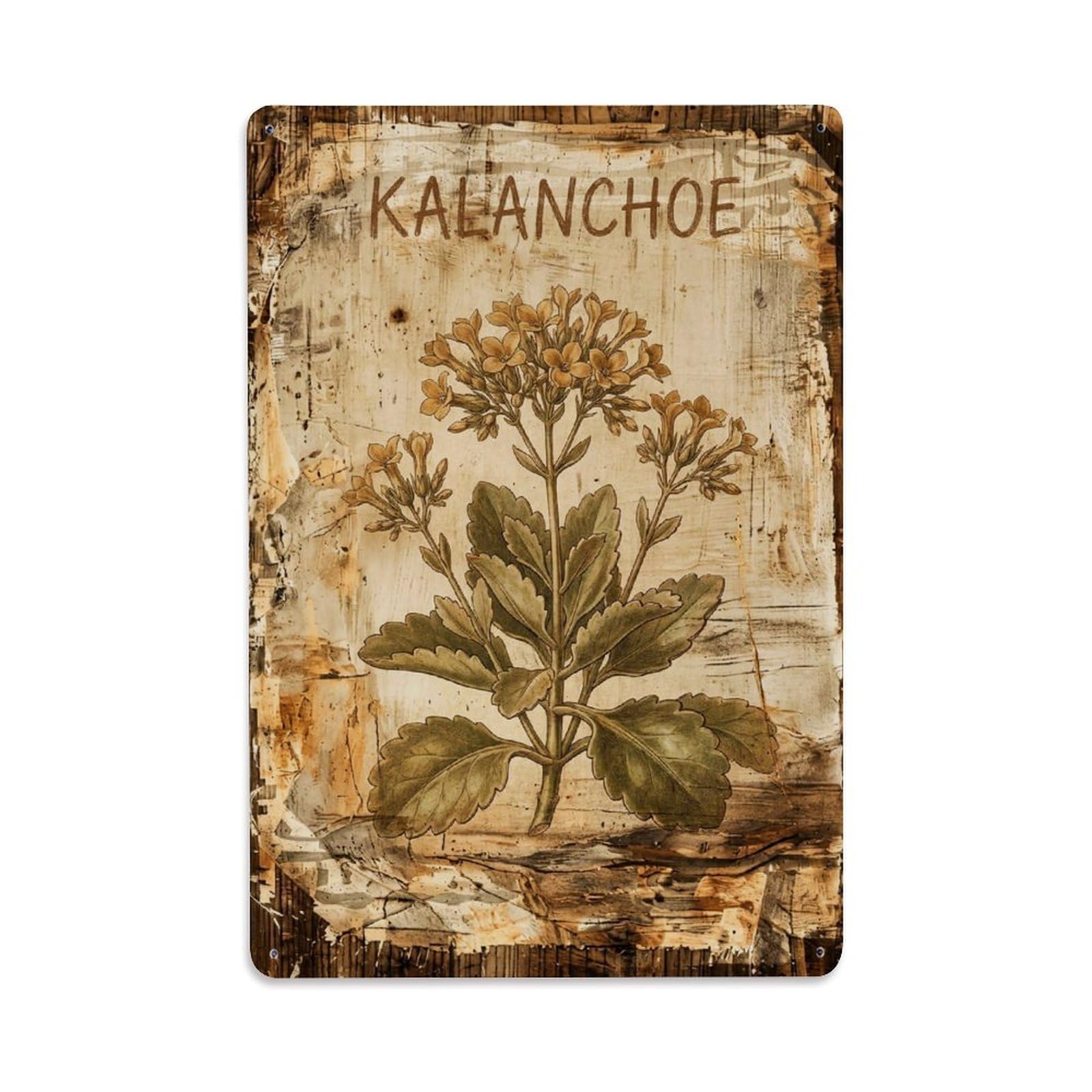 Kalanchoe Succulent Flower Vintage Metal Tin Sign Plaque Wall Decor for Cafe, Club, Garden Metal Poster 8x12Inch