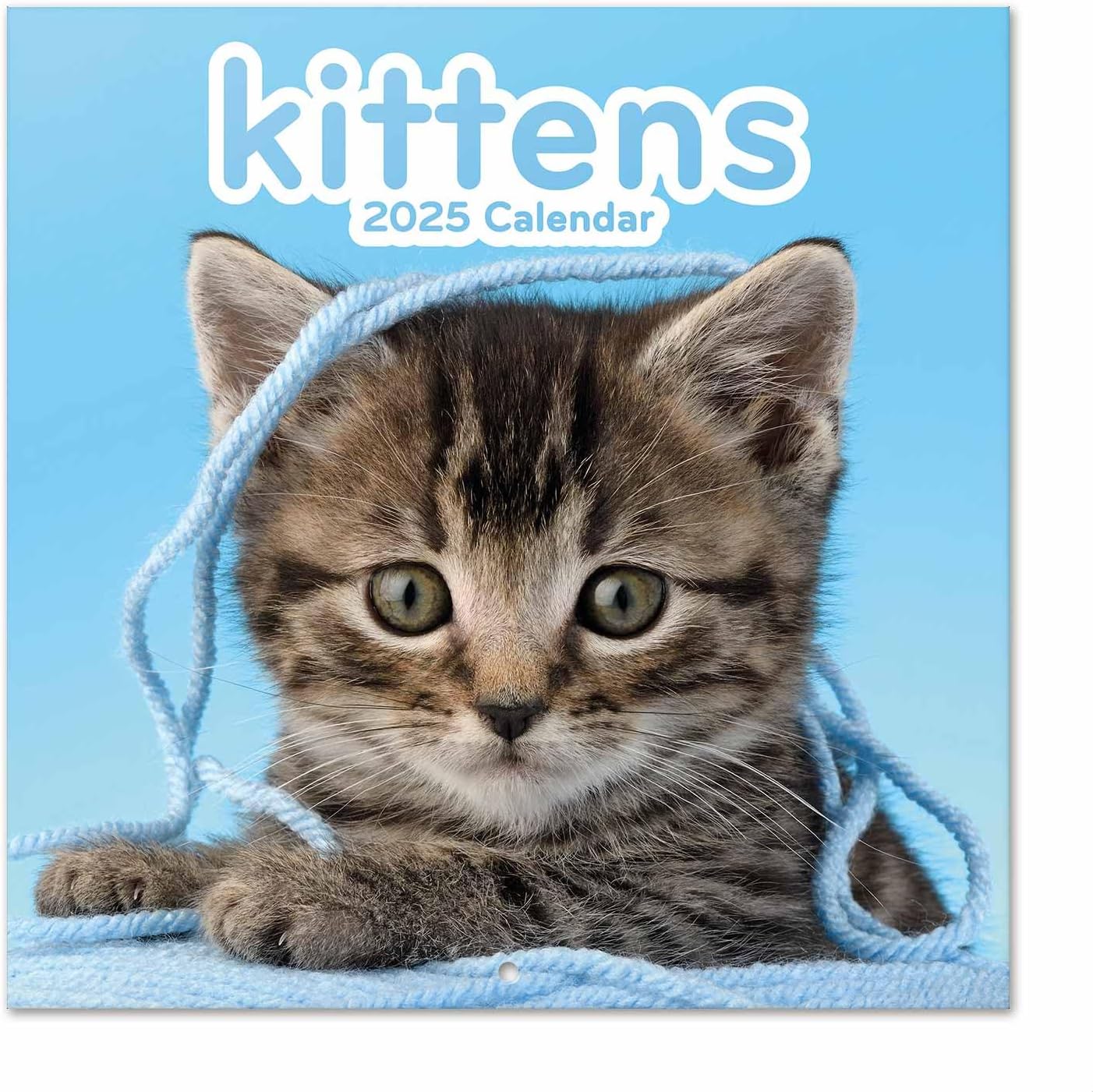 Grupo Erik Wall Calendar 2025 - Cats | 12" x 12" Square Calendar 2025, Wall Planner 2025, Family Planner Calendar 2025 | Cat Calendar 2025, Cats Calendar 2025