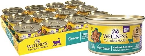 Wellness Complete Health Gravies - Alimento húmedo para gatos, sin granos (12 unidades)